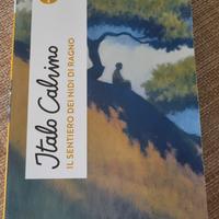 libro il sentieri dei nidi di ragno di calvino