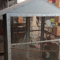 Voliere ferro pappagallo/bengalino