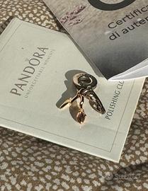 Charm Pandora Harry Potter