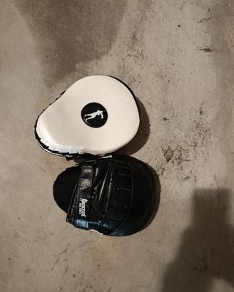 colpitori boxe professionali 