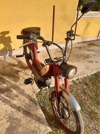 Motorino Testi con Libretto