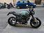 Immagine 15