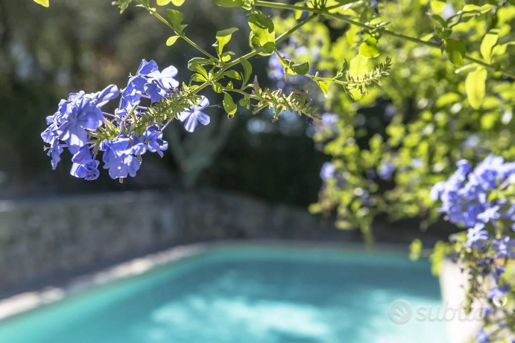 Rustico / Casale di 515 m² con più di 5 locali a C - Vista 2