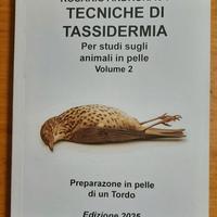 Tassidermia, prep in pelle di un tordo ed 2025