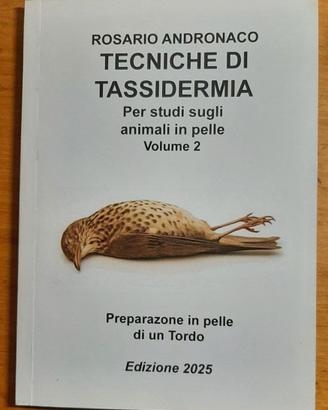 Tassidermia, prep in pelle di un tordo ed 2025
