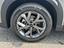 Immagine 11