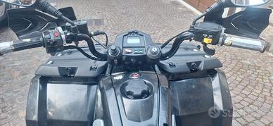 Polaris Quad Hewkey 300 4x4