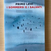 I sommersi e i salvati, Primo Levi