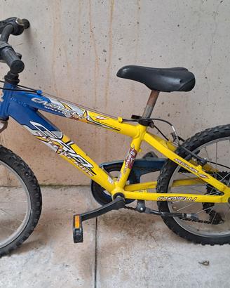 bicicletta 20'