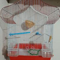 Gabbia con accessori 
