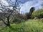Immagine 20