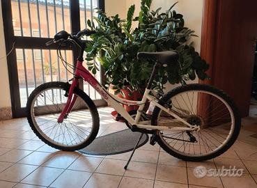 Montain  bike