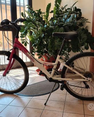 Montain  bike