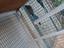 Immagine 2