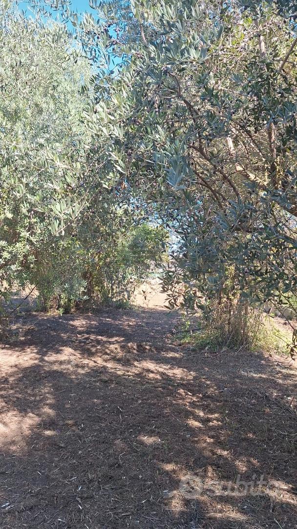 ULTIMI GIORNI ---> Terreno ANGRI SUPERAFFARE - Vista 5
