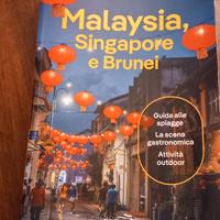 Guida turistica Malesia Singapore e Brunei