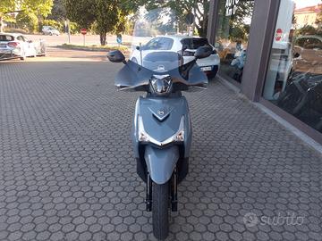 Sym HD 300