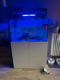 Acquario marino