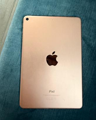 IPAD MINI 5 GENERATIONE