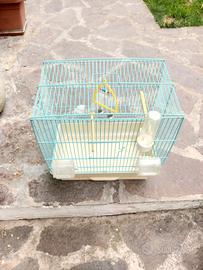 gabbia per uccelli