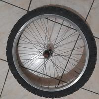 Ruota anteriore bicicletta 