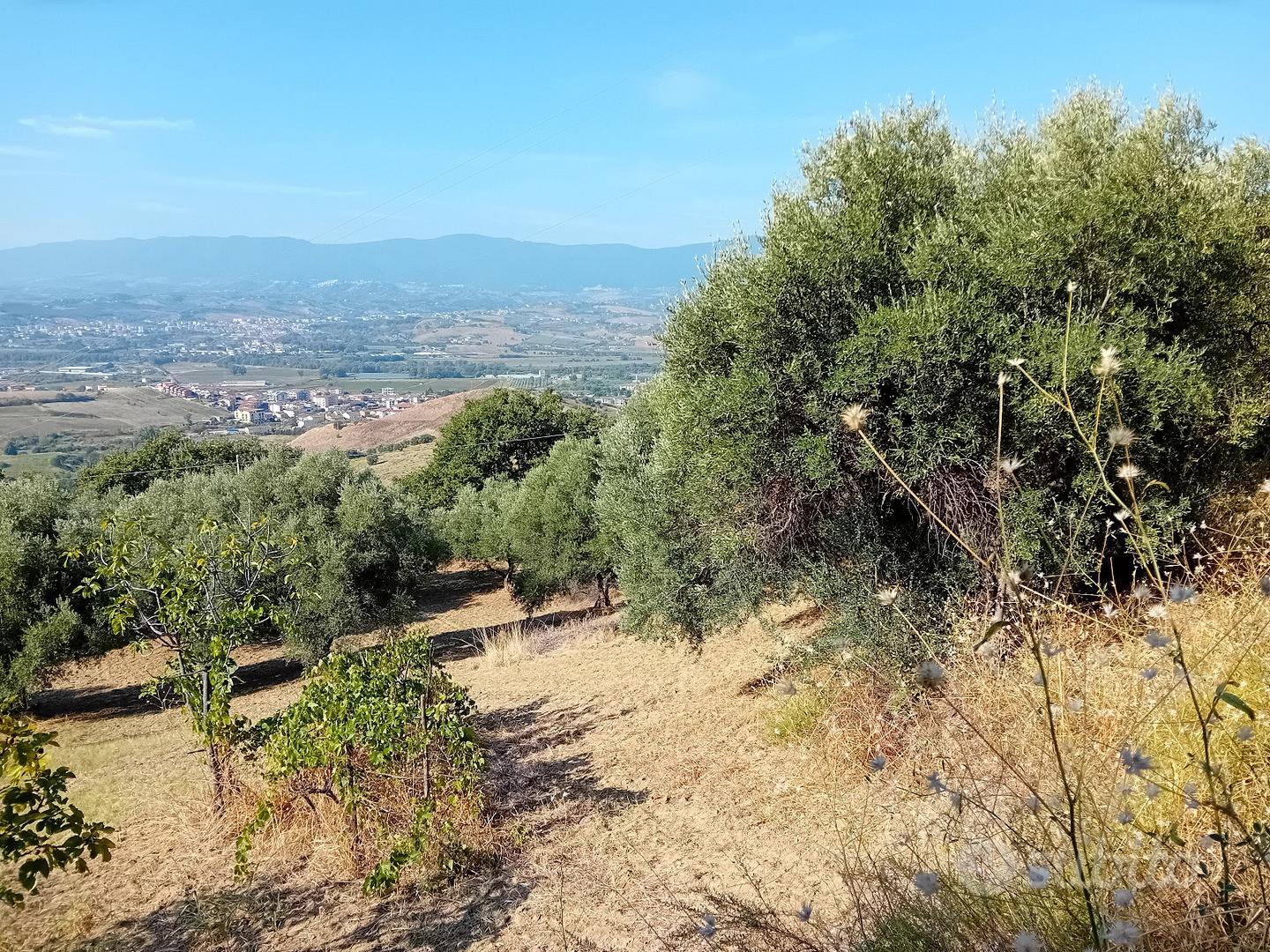 Terreno agricolo con annesso fabbricato - Vista 2