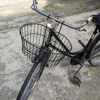 Bici freni a bacchetta Leri Muggio