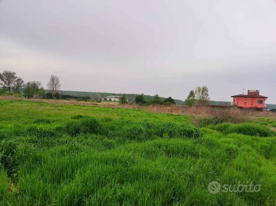 Immobile in asta di 4947 m² a Vellezzo Bellini - Altro