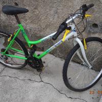 Bicicletta MTB 26' donna Globetrotter