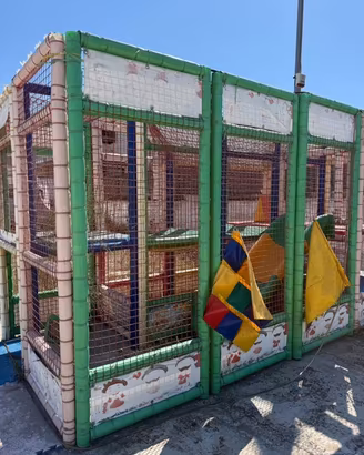 Gioco per bambini