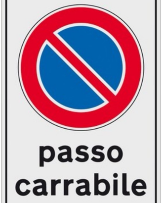 1 cartello stradale " passo carrabile" 25x45 cm