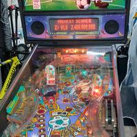 flipper world cup usa 94