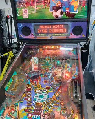 flipper world cup usa 94