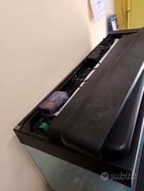 Acquario tropicale completo