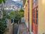 Immagine 16