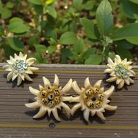 Antica parure spilla orecchini stella alpina