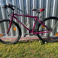 Specialized Rockhopper comp