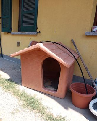 Cuccia cane grande