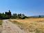 Immagine 20