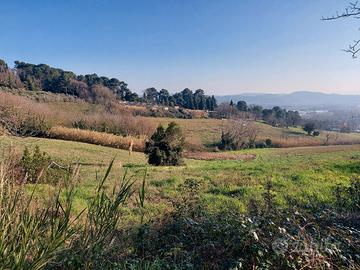 Pesaro san bartolo casale con terreno