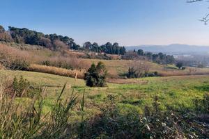 Pesaro san bartolo casale con terreno