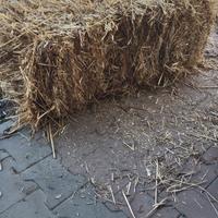 fieno loieto e avena in ballette