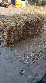 fieno loieto e avena in ballette