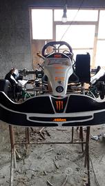 Tony kart 125