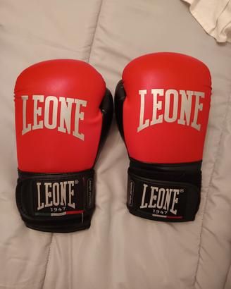 kick boxing attrezzatura