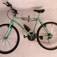 Bicicletta Mountain Bike