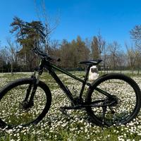 Mountain Bike “Scott”
