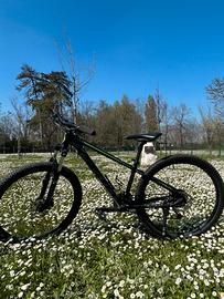 Mountain Bike “Scott”