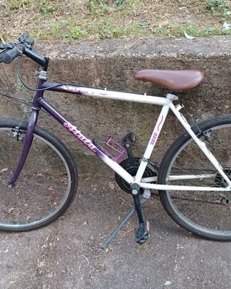 MTB ATALA FLYER