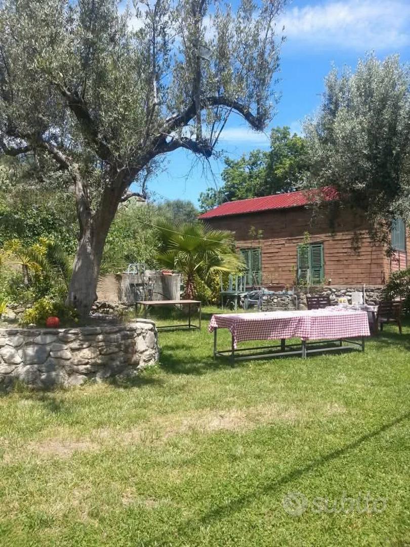 S.Fantino tenuta uliveto vitigno stalla casa - Vista 2